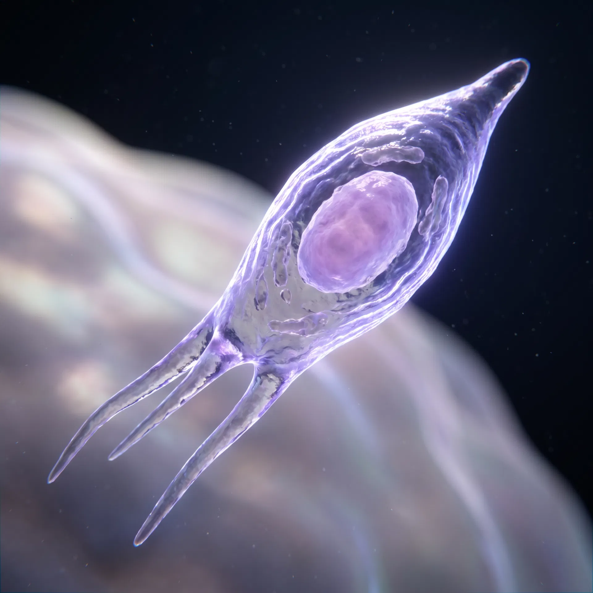 Abstract scientific illustration of a mesenchymal stem cell, for educational reference